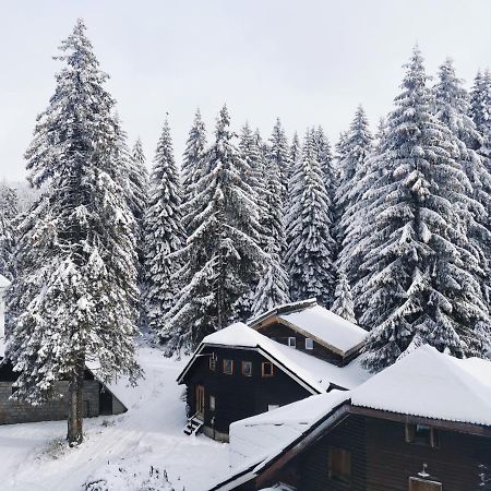 Apartments Zed Vila Zvoncica Kopaonik Luaran gambar