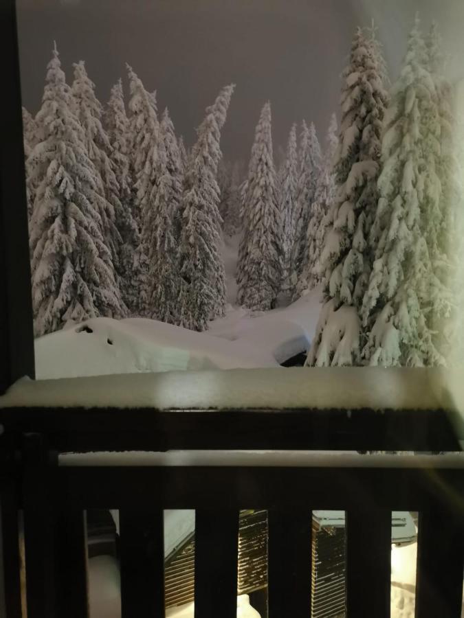Apartments Zed Vila Zvoncica Kopaonik Luaran gambar