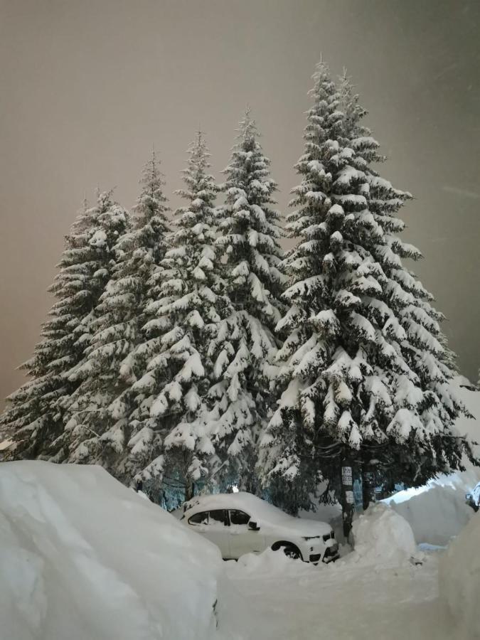 Apartments Zed Vila Zvoncica Kopaonik Luaran gambar
