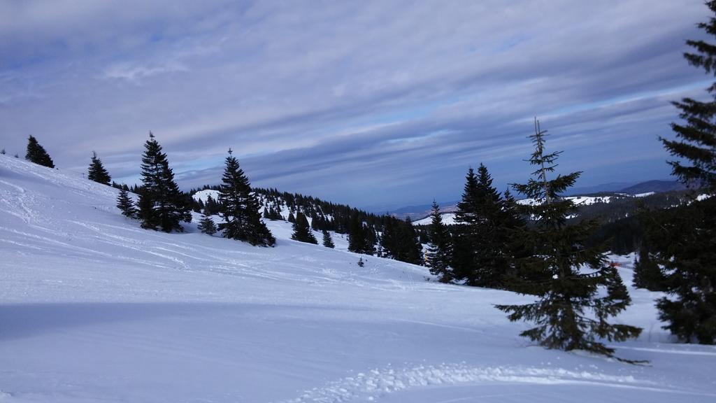 Apartments Zed Vila Zvoncica Kopaonik Luaran gambar